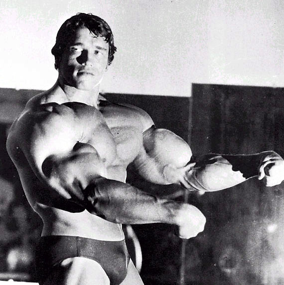 200712221759_arnold-schwarzenegger