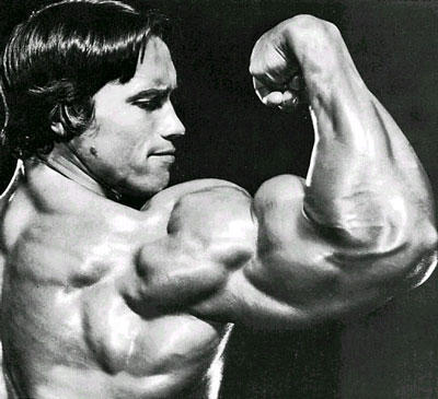 arnold9
