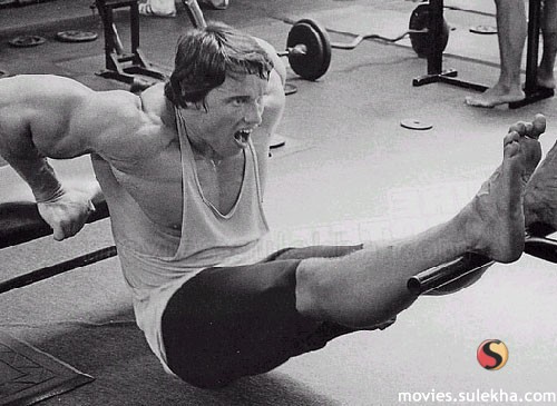 arnold-schwarzenegger32