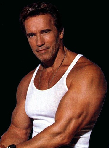 arnold-schwarzenegger-20060109-99171