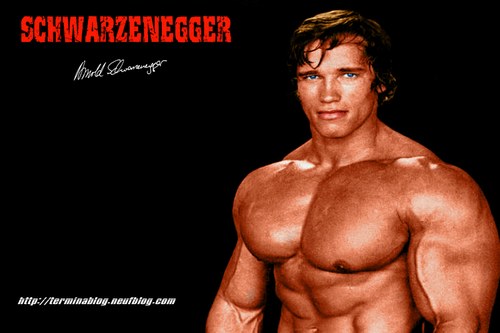 arnold-schwarzenegger-20060109-99364
