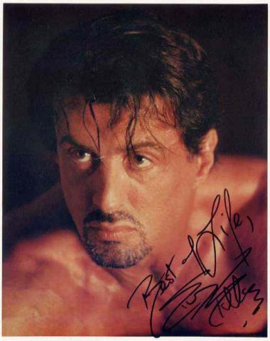 tn2_sylvester-stallone_2