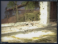 cop_an_springboard