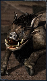cop_mo_boar