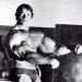 200712221759_arnold-schwarzenegger