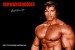 arnold-schwarzenegger-20060109-99364