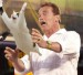 arnold-schwarzenegger-cat